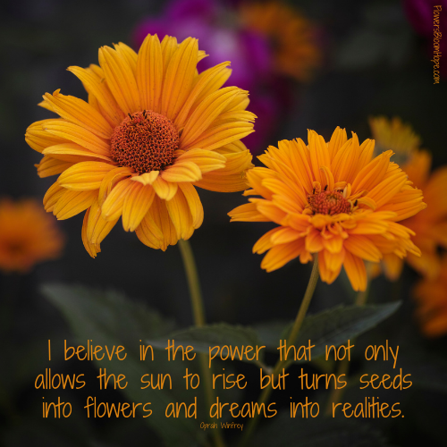I believe in the power that not only allows the sun to rise but turns seeds into flowers and dreams into realities.