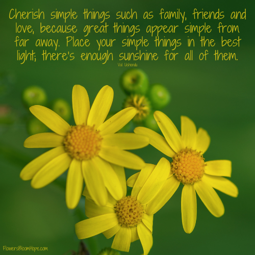 Cherish simple things such as family, friends and love, because great things appear simple from far away. Place your simple things in the best light; there’s enough sunshine for all of them.