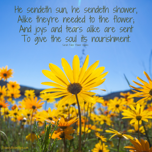 He sendeth sun, he sendeth shower, Alike they're needed to the flower; And joys and tears alike are sent To give the soul its nourishment.