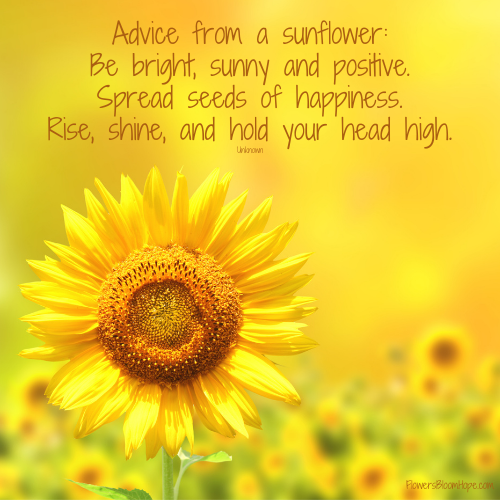 Advice from a sunflower: Be bright, sunny and positive. Spread seeds of happiness. Rise, shine, and hold your head high.