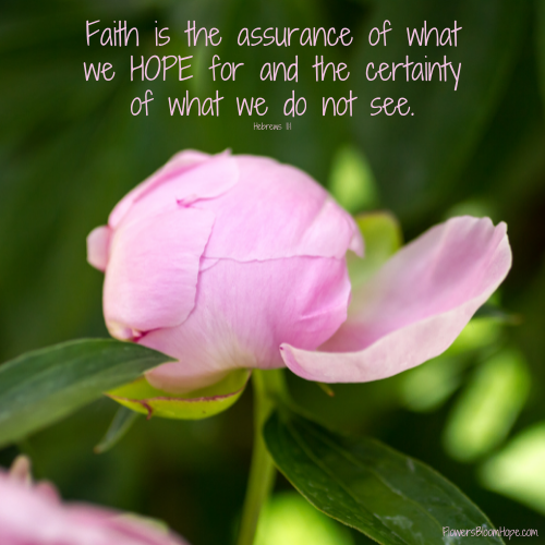 Now faith is the assurance of what we hope for and the certainty of what we do not see.