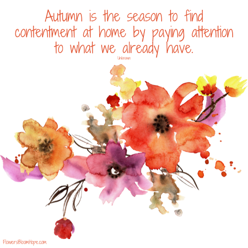 Autumn is the season to find contentment at home by paying attention to what we already have.