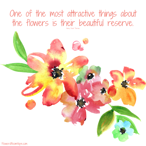 One of the most attractive things about the flowers is their beautiful reserve.