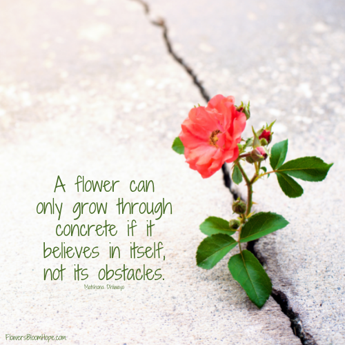 A flower can only grow through concrete if it believes in itself, not its obstacles.
