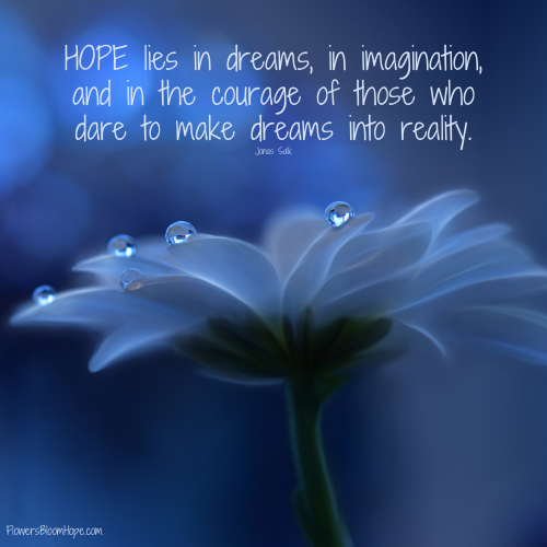 HOPE lies in dreams, in imagination, and in the courage of those who dare to make dreams into reality.