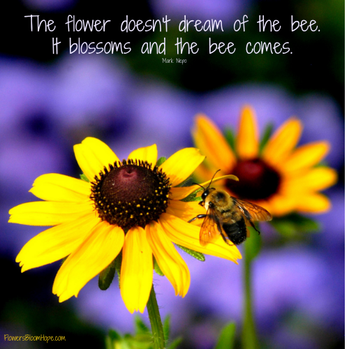 The flower doesn't dream of the bee. It blossoms and the bee comes