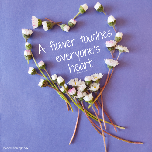 A flower touches everyone's heart.