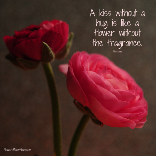 A kiss without a hug is like a flower without the fragrance.