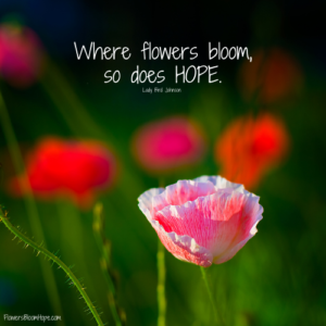 Flower Quotes - Flowers Bloom Hope