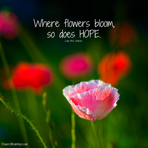 Where flowers bloom, so does HOPE