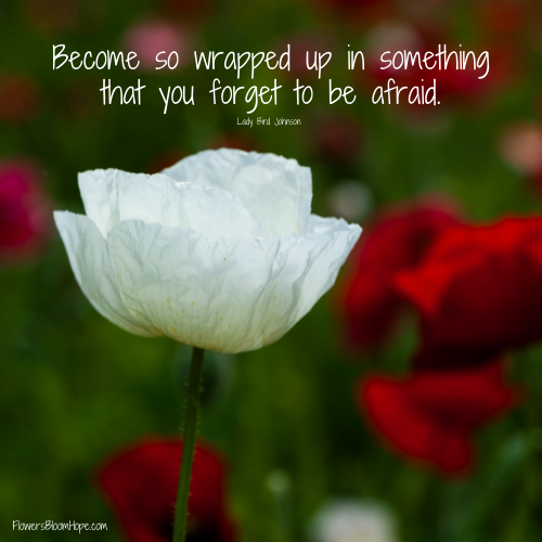 Become so wrapped up in something that you forget to be afraid.