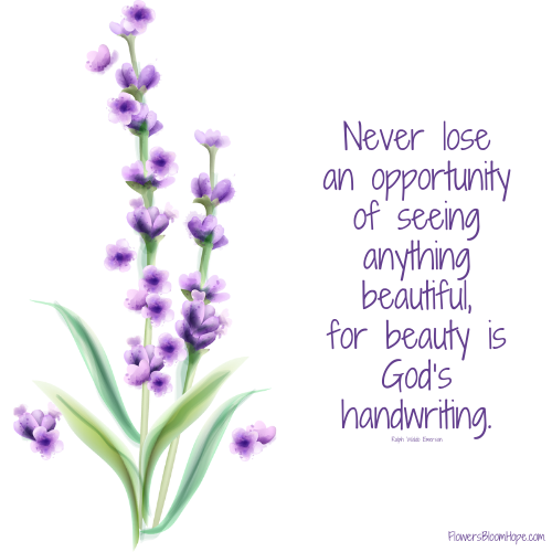 Never lose an opportunity of seeing anything beautiful, for beauty is God’s handwriting.