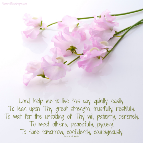 Lord, help me to live this day, quietly, easily. To lean upon Thy great strength, trustfully, restfully. To wait for the unfolding of Thy will, patiently, serenely. To meet others, peacefully, joyously. To face tomorrow, confidently, courageously.