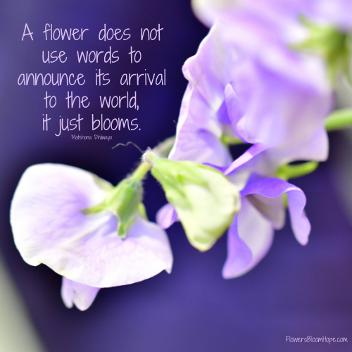 A flower does not use words to announce its arrival to the world, it just blooms.