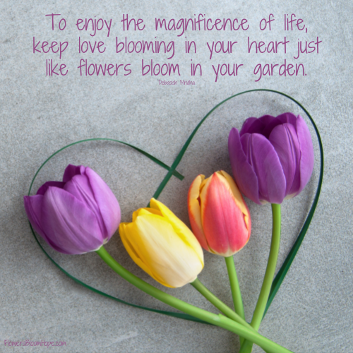To enjoy the magnificence of life, keep love blooming in your heart just like flowers bloom in your garden.
