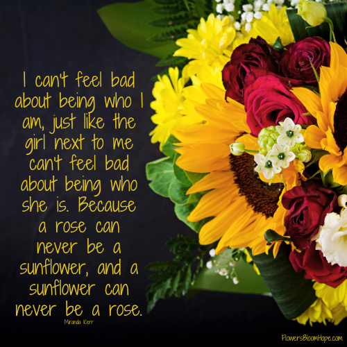 I can’t feel bad about being who I am, just like the girl next to me can’t feel bad about being who she is. Because a rose can never be a sunflower, and a sunflower can never be a rose.