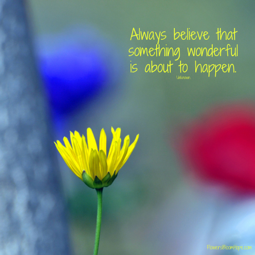 Always believe the something wonderful is about to happen.