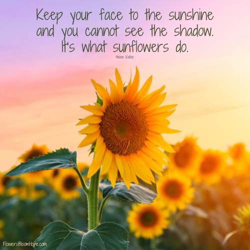 Keep your face to the sunshine and you cannot see the shadow. It’s what sunflowers do.