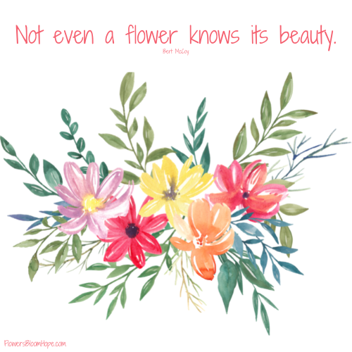 Not even a flower knows its beauty.