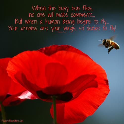 When the busy bee flies, no one will make comments... But when a human being begins to fly...Your dreams are your wings, so decide to fly!