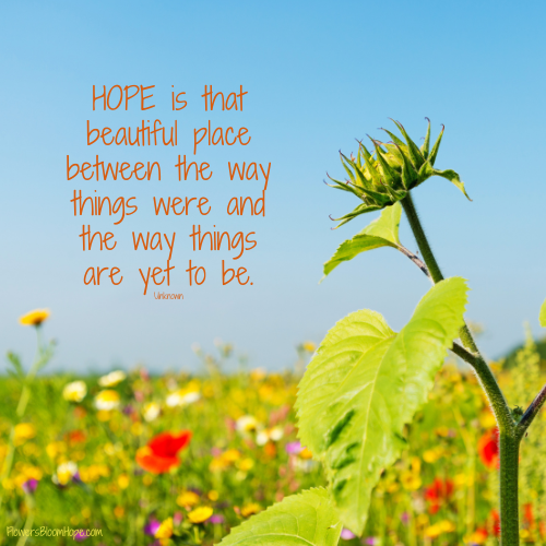 HOPE is that beautiful place between the way things were and the way things are yet to be.