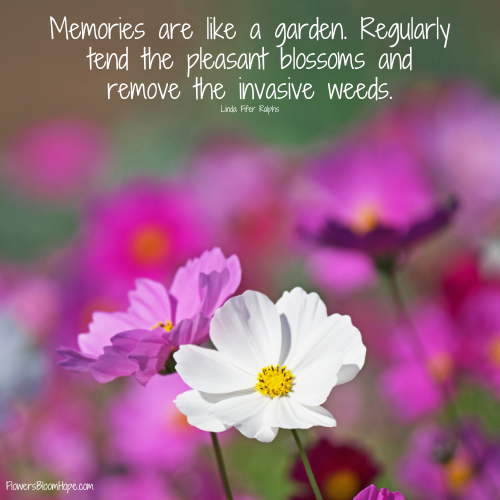 Memories are like a garden. Regularly tend the pleasant blossoms and remove the invasive weeds.