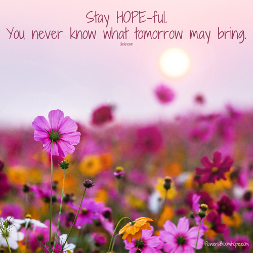 Stay HOPE-ful. You never know what tomorrow may bring.