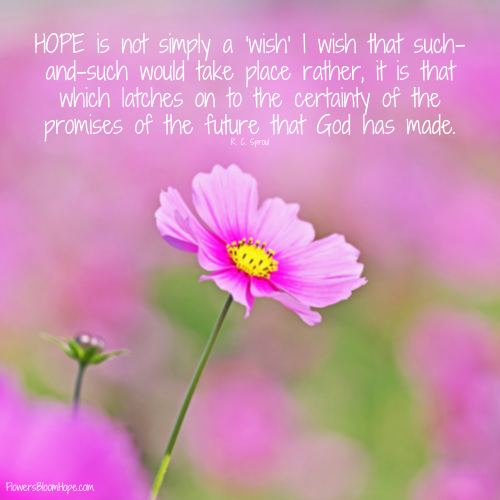 HOPE is not simply a 'wish' I wish that such-and-such would take place rather, it is that which latches on to the certainty of the promises of the future that God has made.