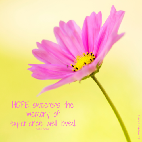 HOPE sweetens the memory of experience well loved.