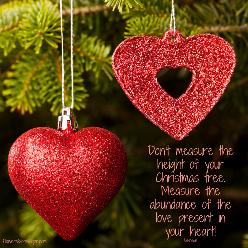 Don't measure the height of your Christmas tree. Measure the abundance of the love present in your heart!