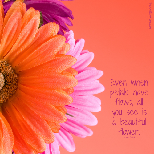 Even when petals have flaws, all you see is a beautiful flower