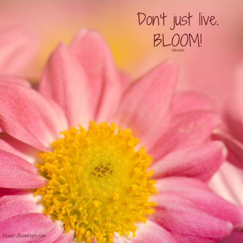 Don’t just live—bloom.
