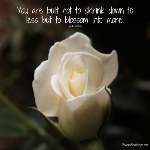 You are built not to shrink down to less but to blossom into more.