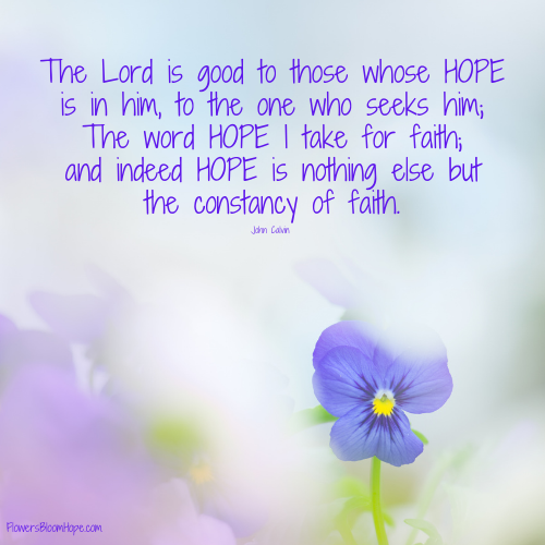 The LORD is good to those whose HOPE is in him, to the one who seeks him; The word HOPE I take for faith; and indeed HOPE is nothing else but the constancy of faith.