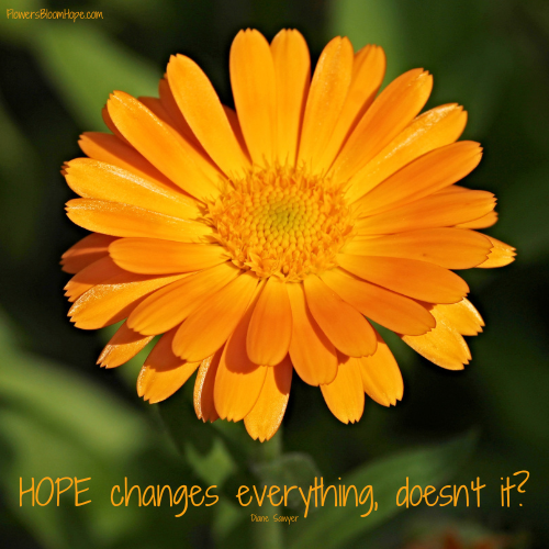 HOPE changes everything, doesn't it?