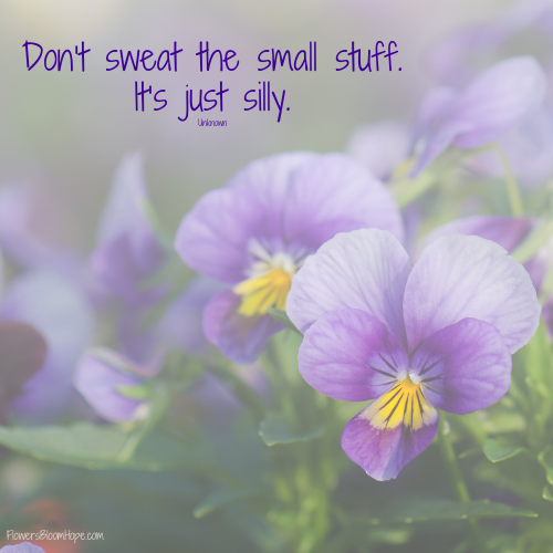 Don’t sweat the small stuff. It’s just silly.