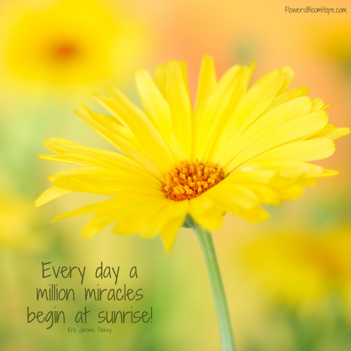 Every day a million miracles begin at sunrise!