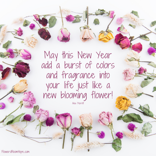 May this New Year add a burst of colors and fragrance into your life just like a new blooming flower!