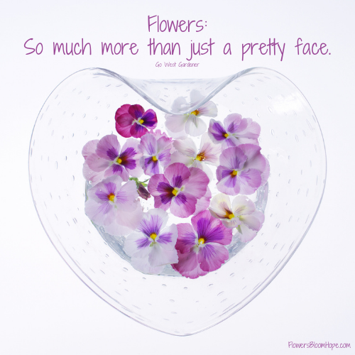 Flowers: So much more than just a pretty face.
