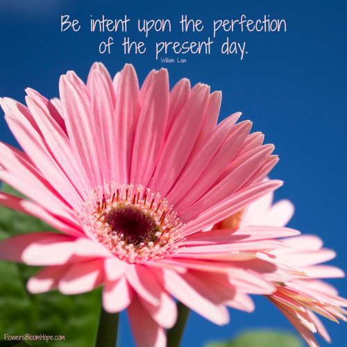 Be intent upon the perfection of the present day.