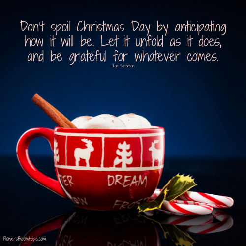 Don’t spoil Christmas Day by anticipating how it will be. Let is unfold as it does, and be grateful for whatever comes.