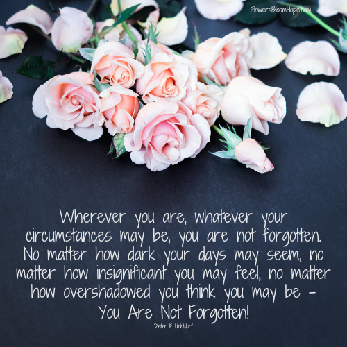 Wherever you are, whatever your circumstances may be, you are not forgotten. No matter how dark your days may seem, no matter how insignificant you may feel, no matter how overshadowed you think you may be.