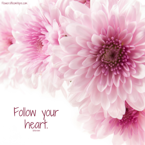 Follow your heart.