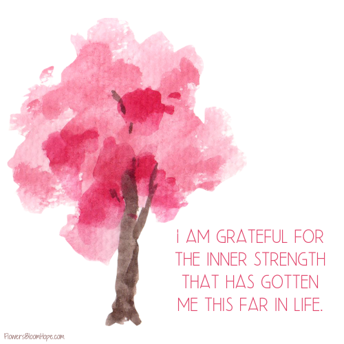 I am grateful for the inner strength that has gotten me this far in life.