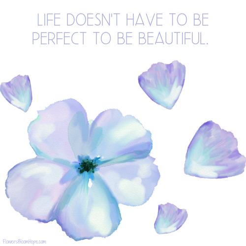 Life doesn't have to be perfect to be beautiful.