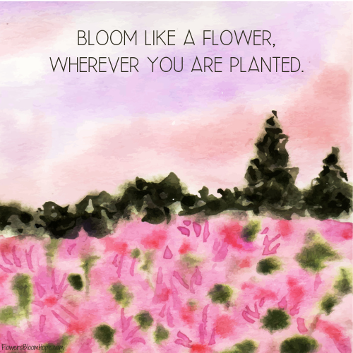 Bloom like a flower, wherever you are planted.