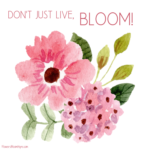 Don't just live, BLOOM!