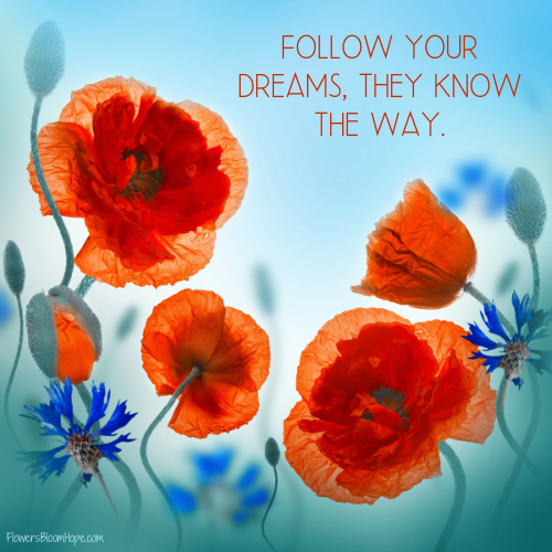 Follow your dreams, they know the way.