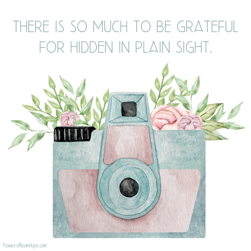 There is so much to be grateful for hidden in plain sight.