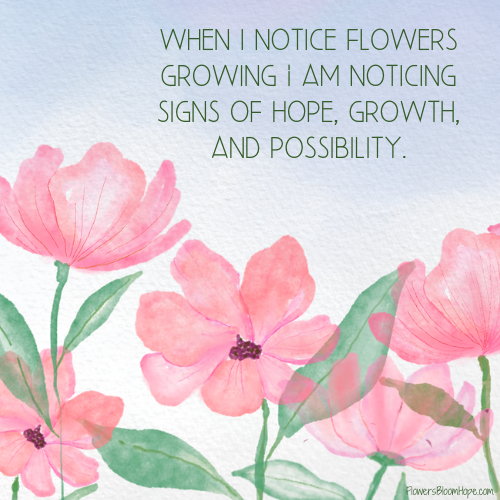 When I notice flowers growing I am noticing signs of hope, growth, and possibility.